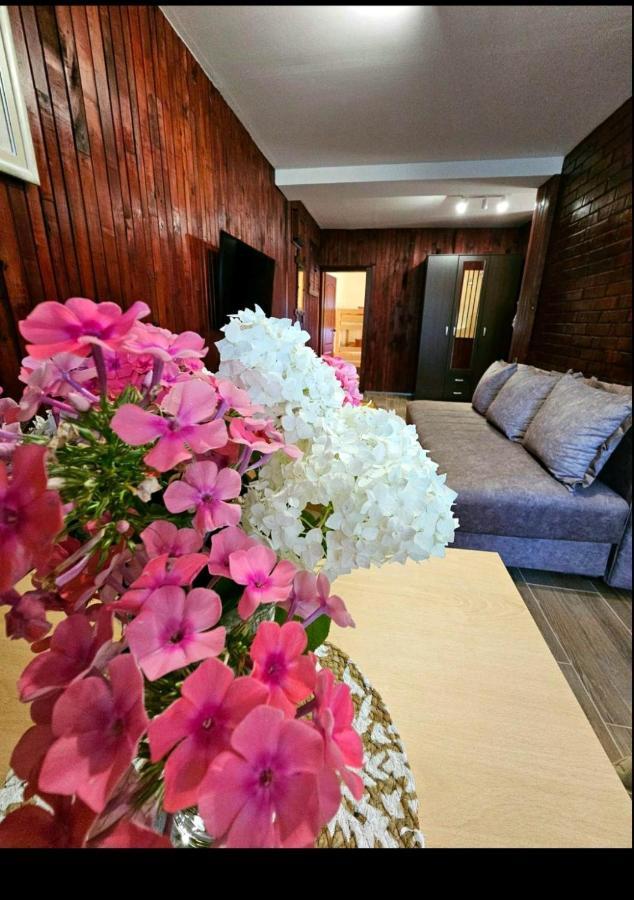 Petra Apartment Kolasin Luaran gambar